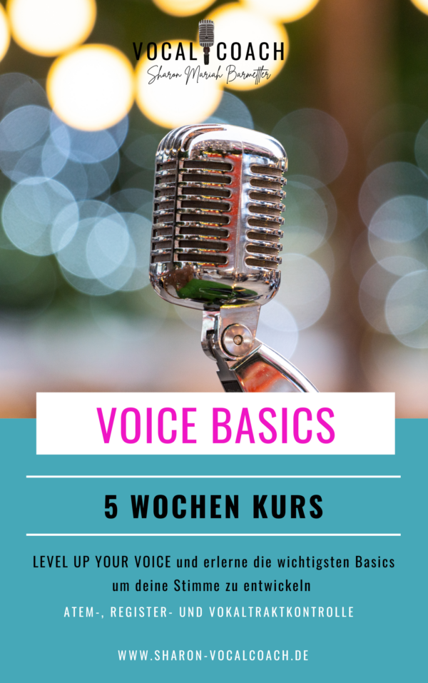 Voice Basics Kurs