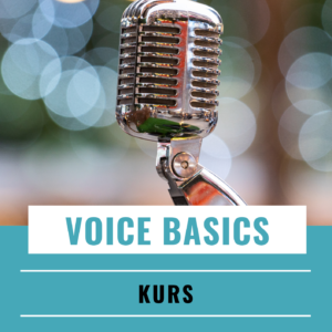 Voice Basics Kurs