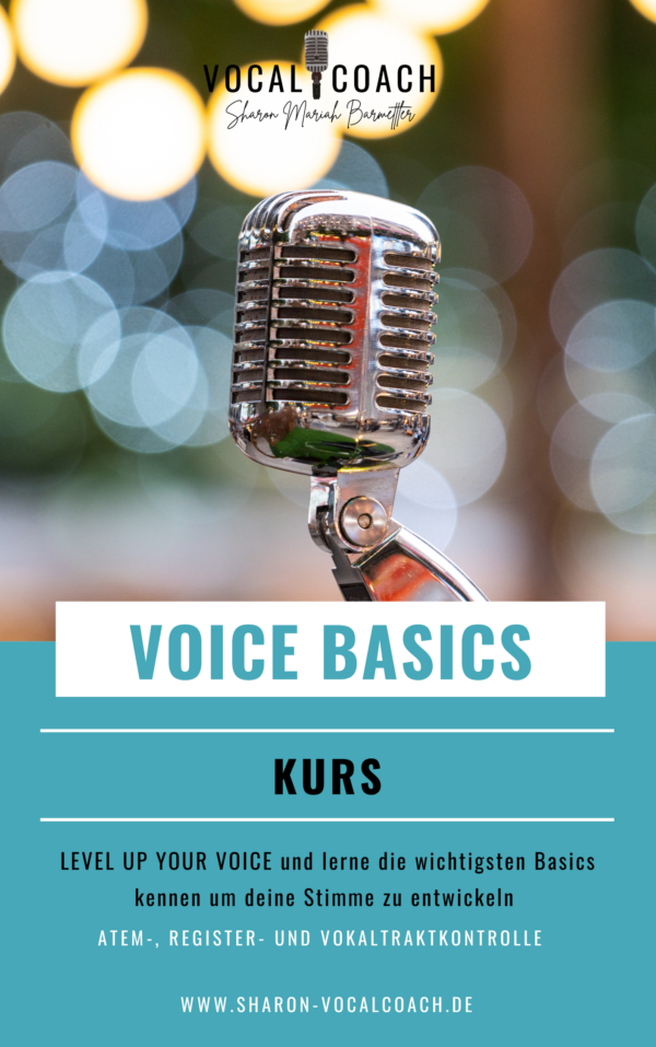 Voice Basics Kurs